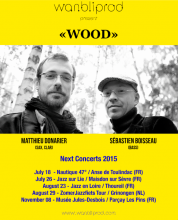 Fly_wood_summer2015